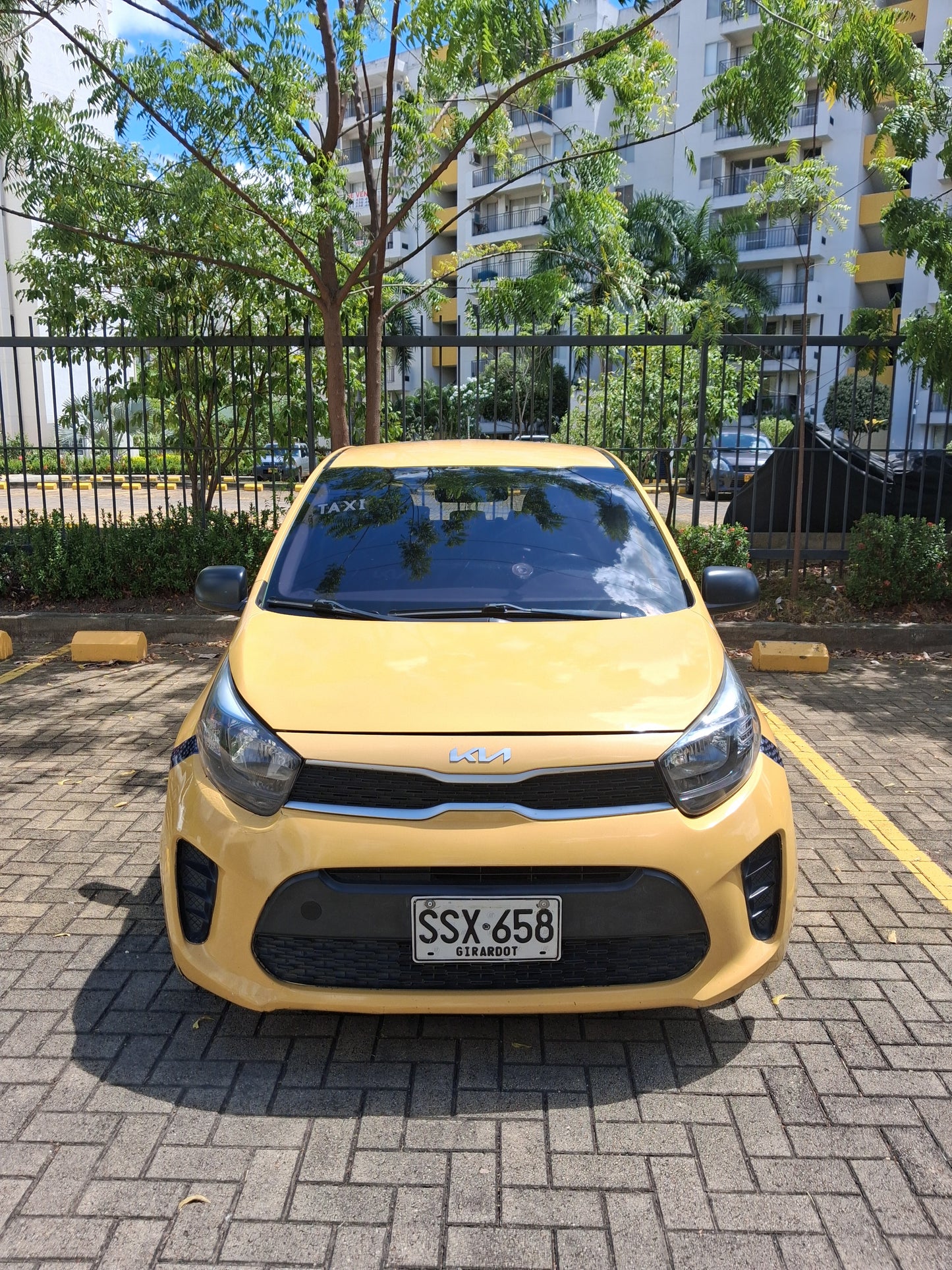 Kia Picanto Ion 1.0 - 2022