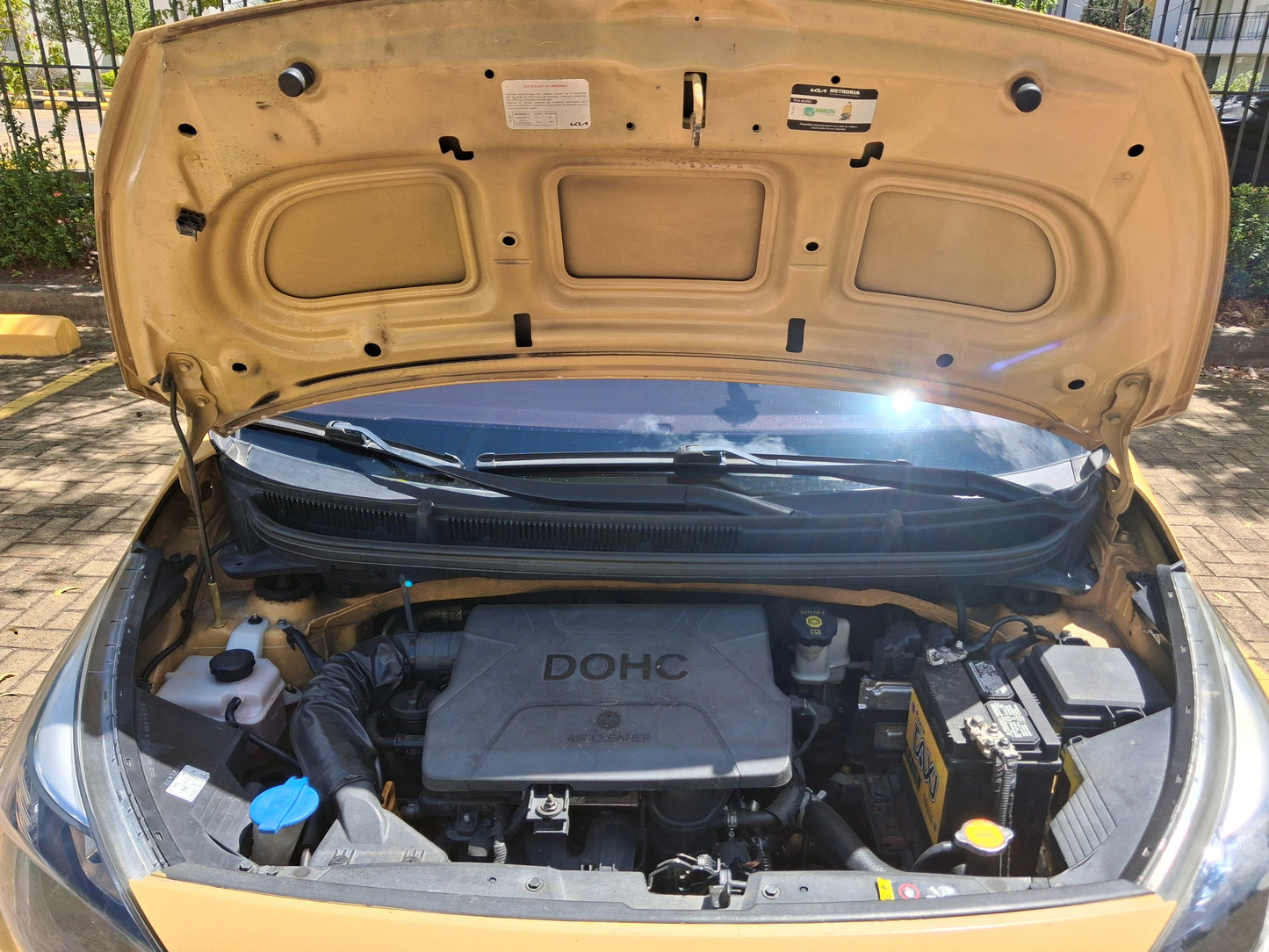 Kia Picanto Ion 1.0 - 2022