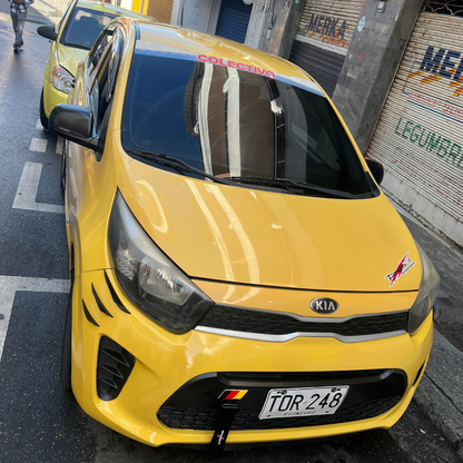 Kia Picanto Ion 1.2 - 2018