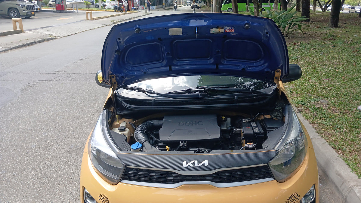 Kia Picanto Ekotaxi 1.25 - 2023