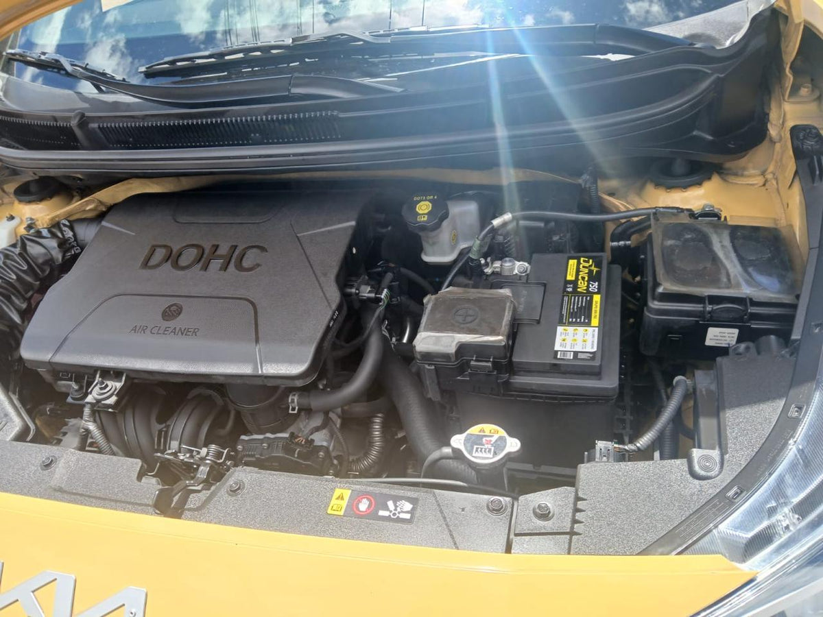 Kia Picanto 1.0 - 2024