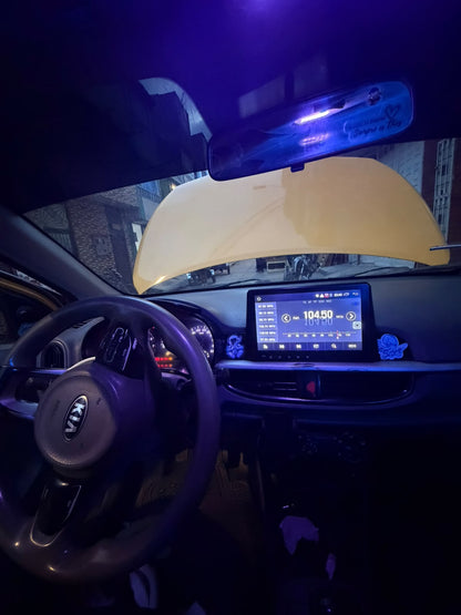 Kia Picanto Ekotaxi LX